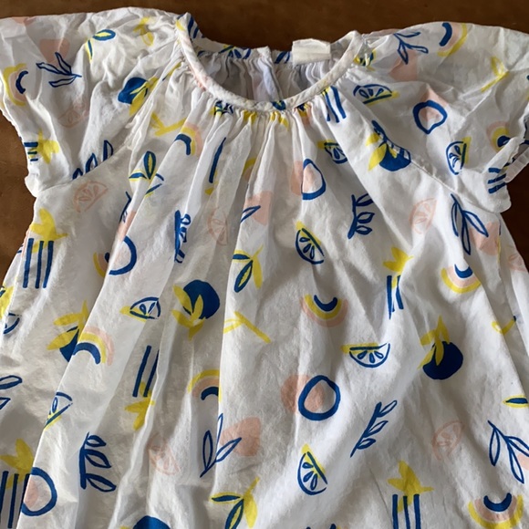 Stem Canyon Print A-Line Dress - Picture 2 of 5